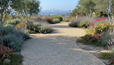 Pea gravel garden pathway in Long Beach, CA showcasing professional landscaping and drainage design